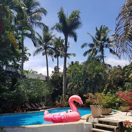 Cabarete Surf Camp Exterior photo