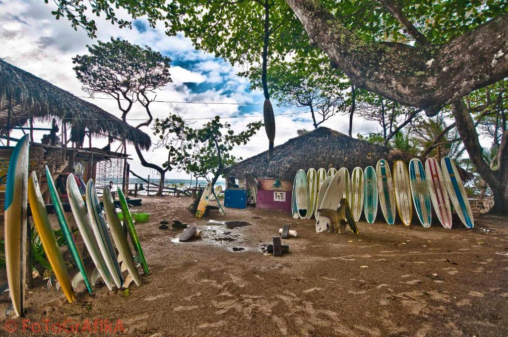 Cabarete Surf Camp Exterior photo