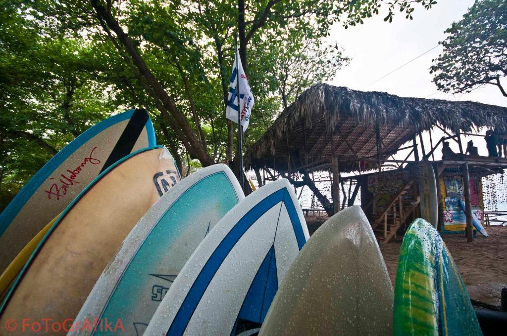Cabarete Surf Camp Exterior photo