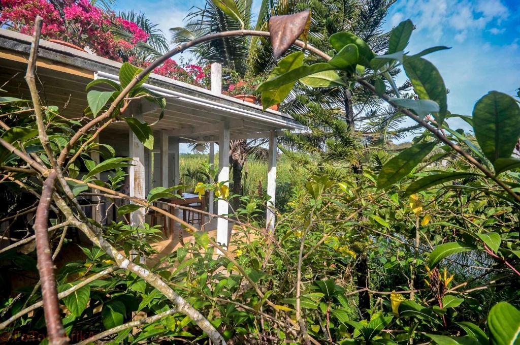 Cabarete Surf Camp Exterior photo