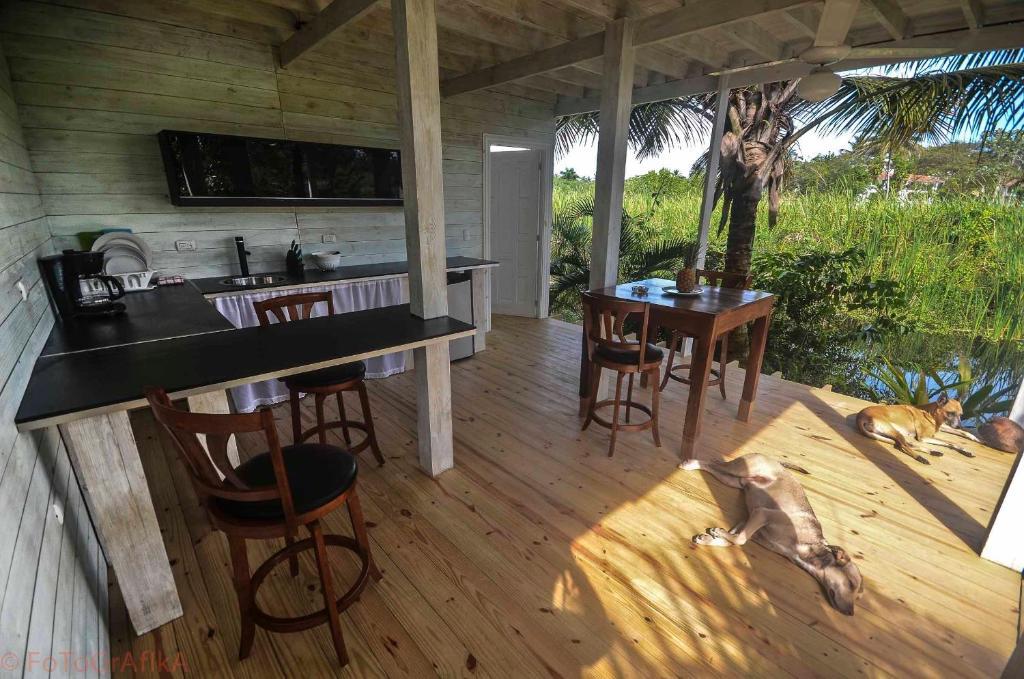 Cabarete Surf Camp Exterior photo