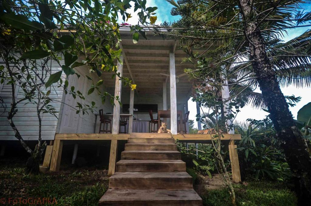 Cabarete Surf Camp Exterior photo
