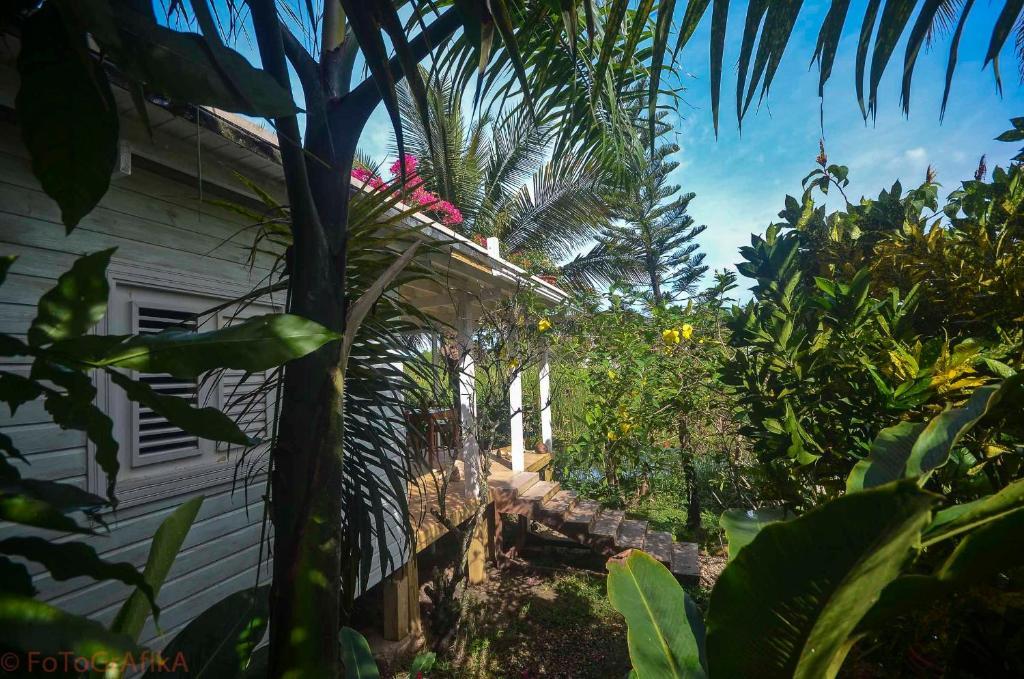 Cabarete Surf Camp Exterior photo