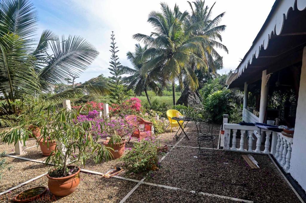 Cabarete Surf Camp Exterior photo