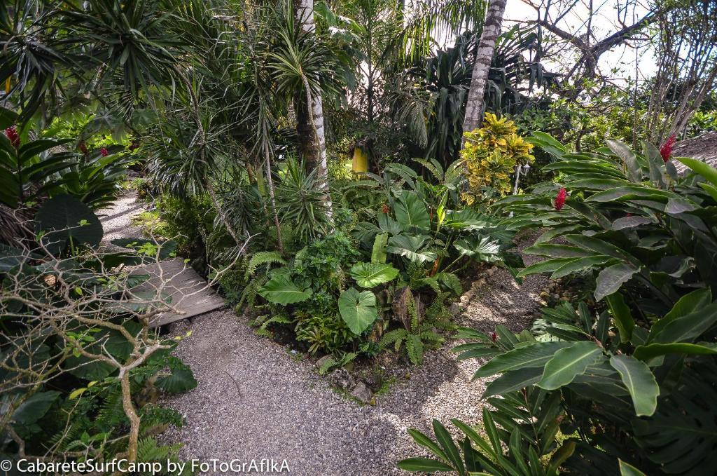 Cabarete Surf Camp Exterior photo
