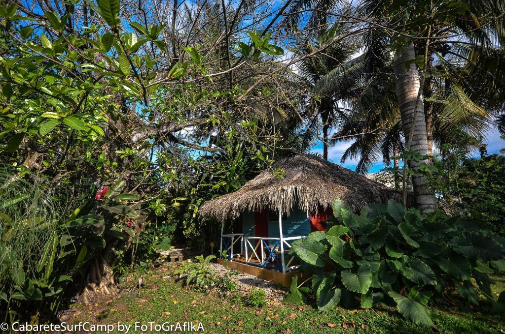 Cabarete Surf Camp Exterior photo