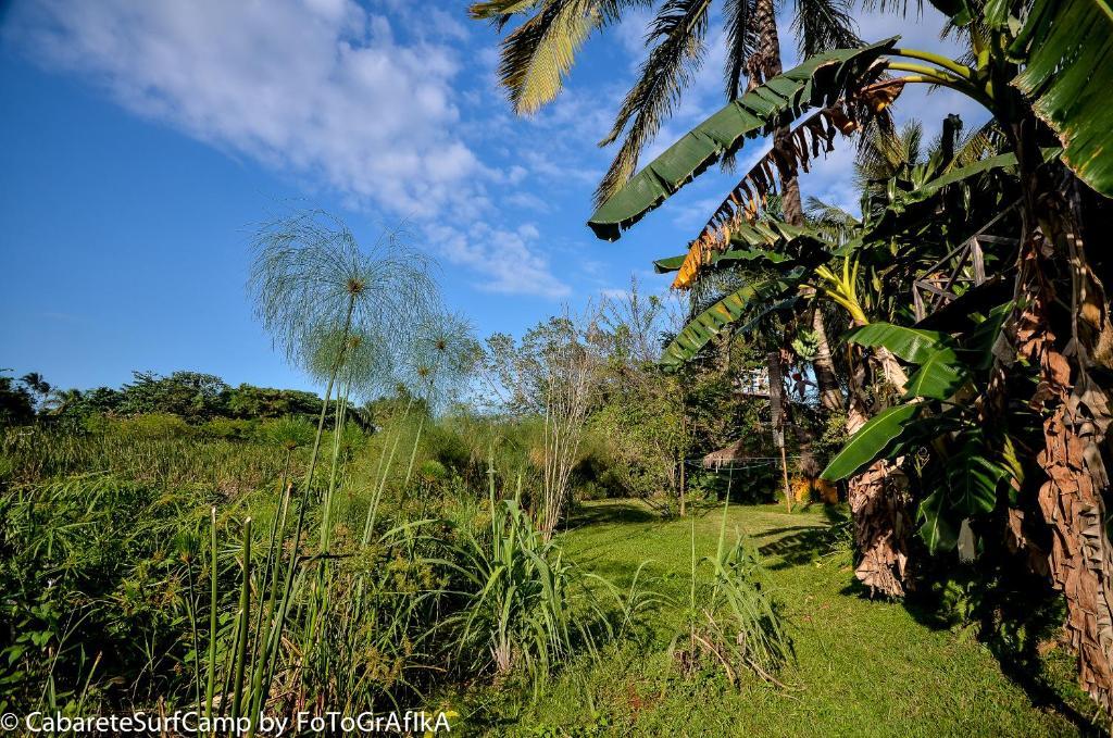 Cabarete Surf Camp Exterior photo