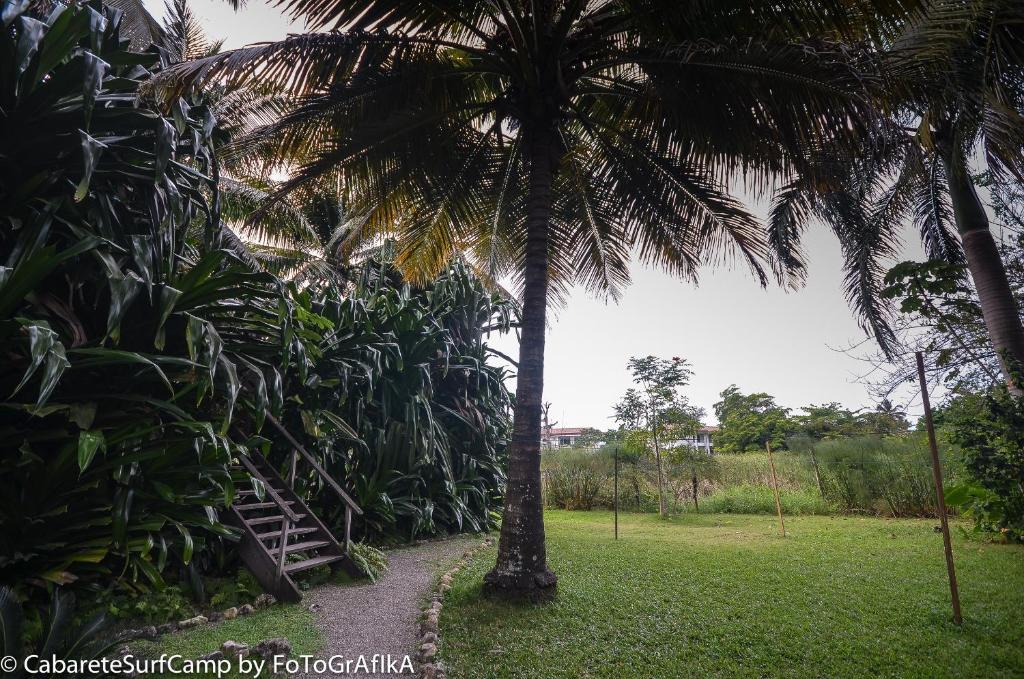 Cabarete Surf Camp Exterior photo