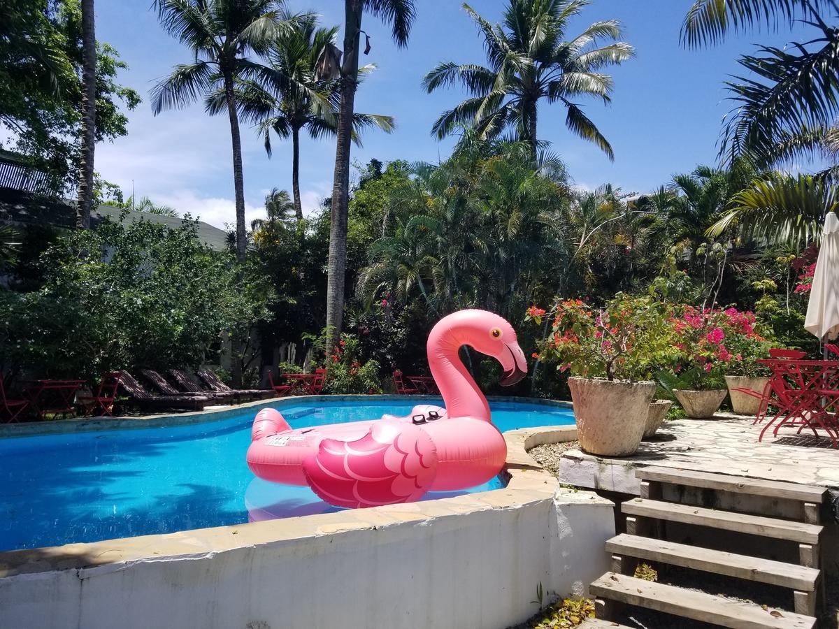 Cabarete Surf Camp Exterior photo