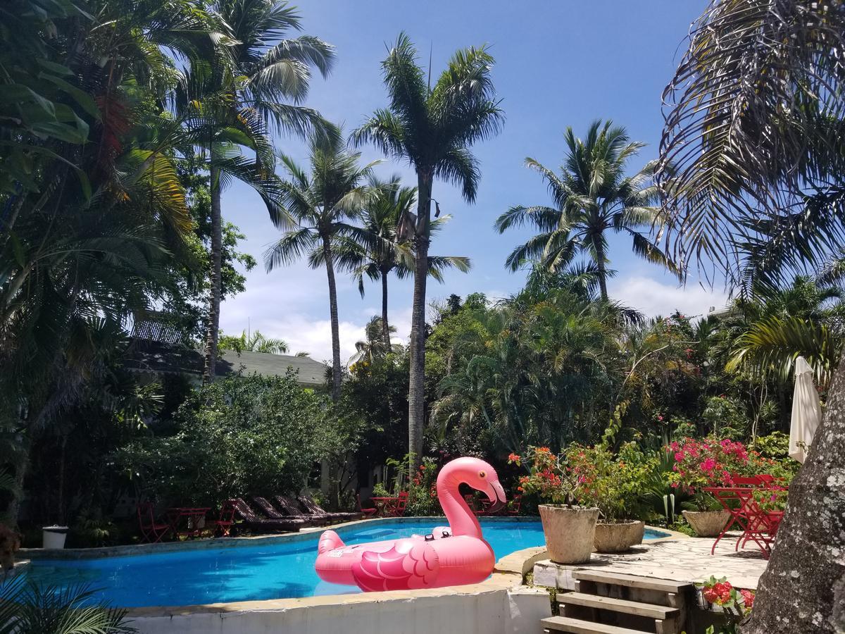 Cabarete Surf Camp Exterior photo