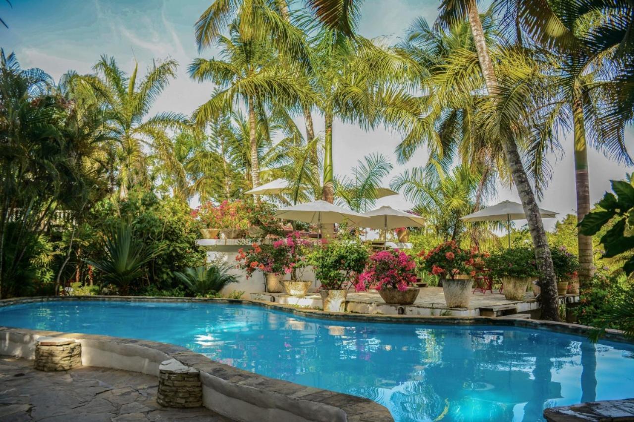 Cabarete Surf Camp Exterior photo